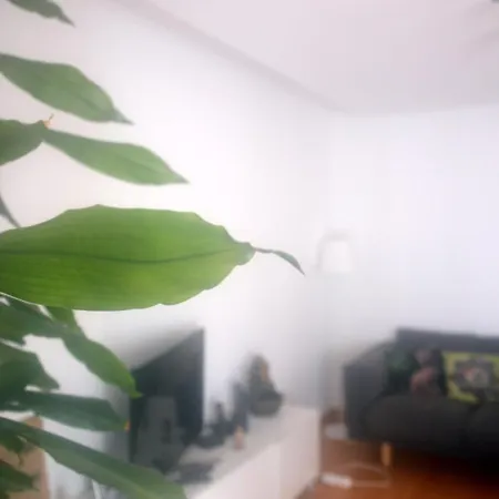 Sol No Horizonte - At