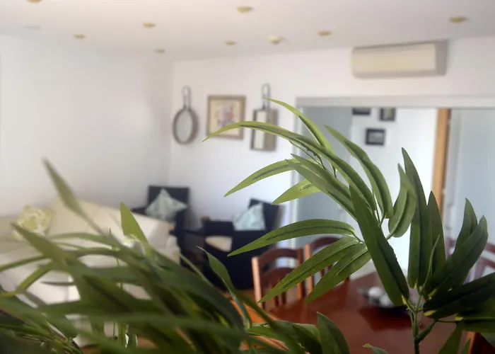 公寓 肖诺霍里兹特酒店 *