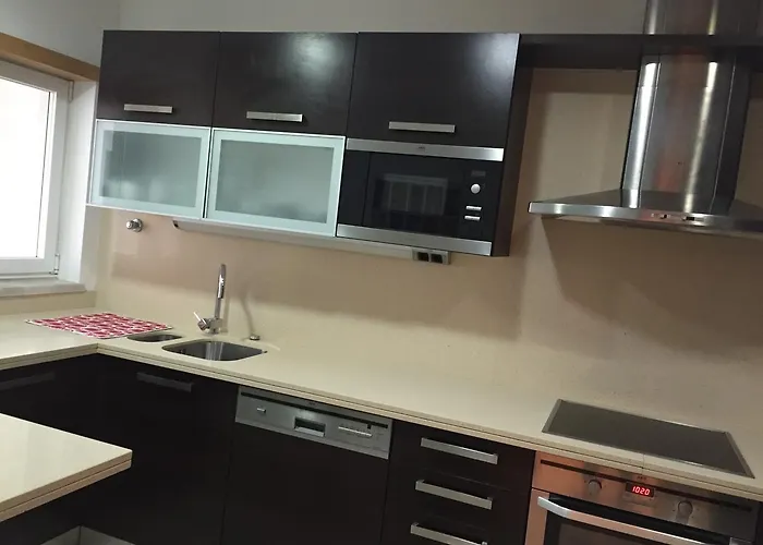 肖诺霍里兹特酒店 *